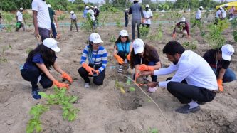 CCoforge-conducts-a-plantation-drive-to-create-a-mini-biodiversity-park-in-Noida1 CCoforge-conducts-a-plantation-drive-to-create-a-mini-biodiversity-park-in-Noida1
